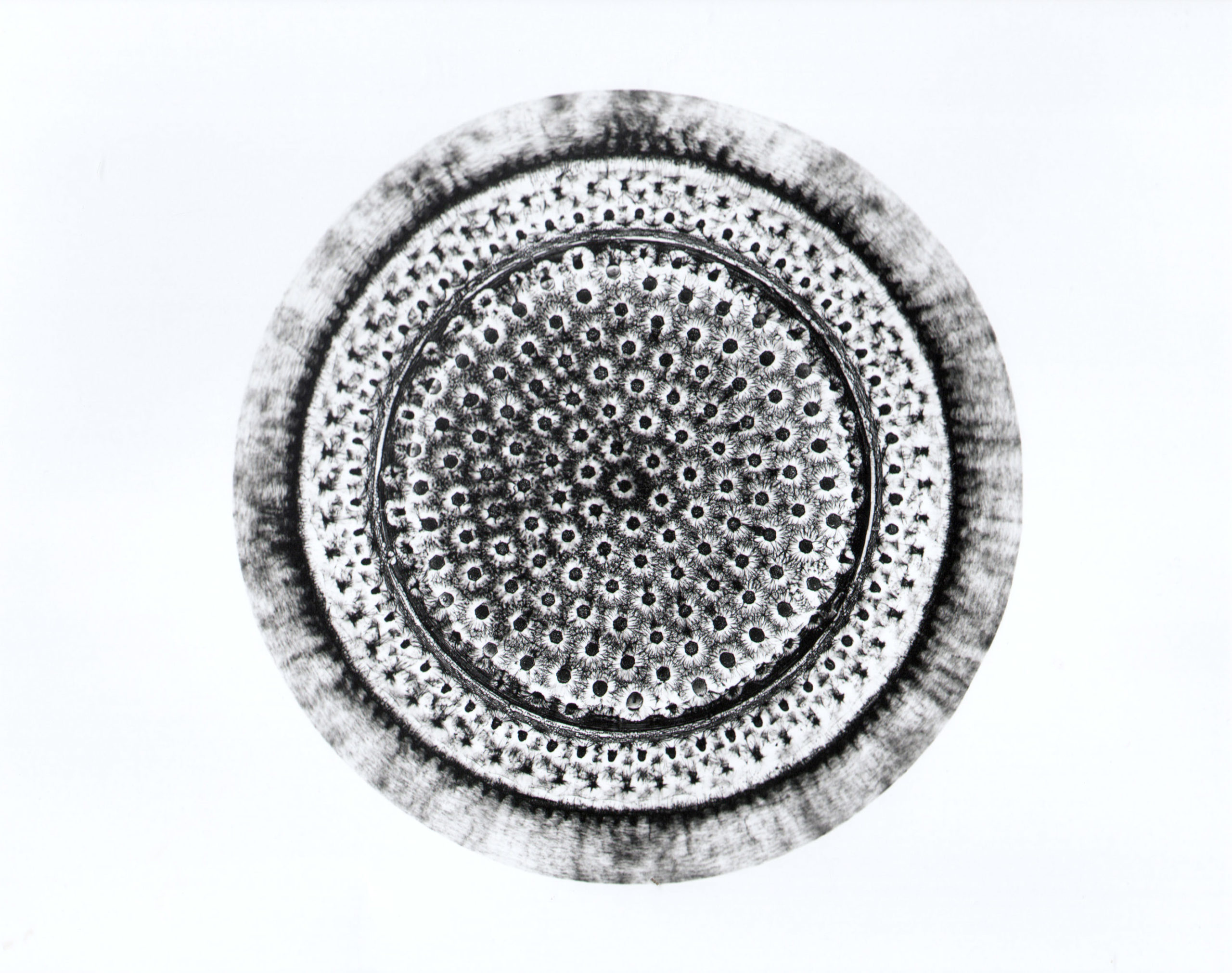 GlassMandala_16_cropped