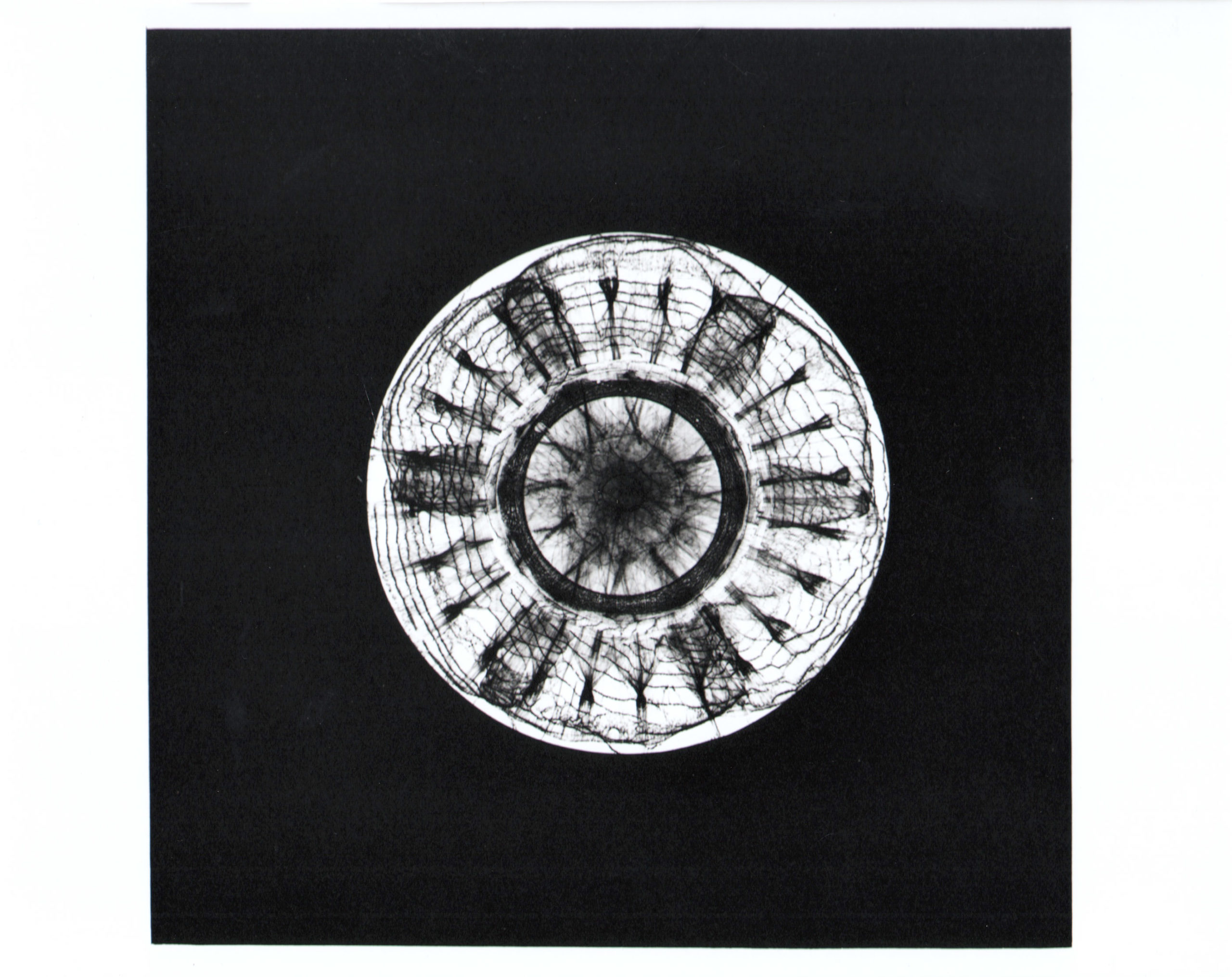 GlassMandala_4_cropped